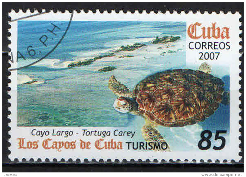 CUBA - 2007 - TURISMO A CUBA: CAYO LARGO - TARTARUGA - USATO - Usados
