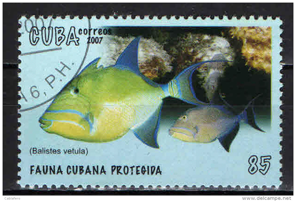 CUBA - 2007 - FAUNA CUBANA PROTETTA- PESCI TROPICALI- BALISTES VETULA - USATO - Usados
