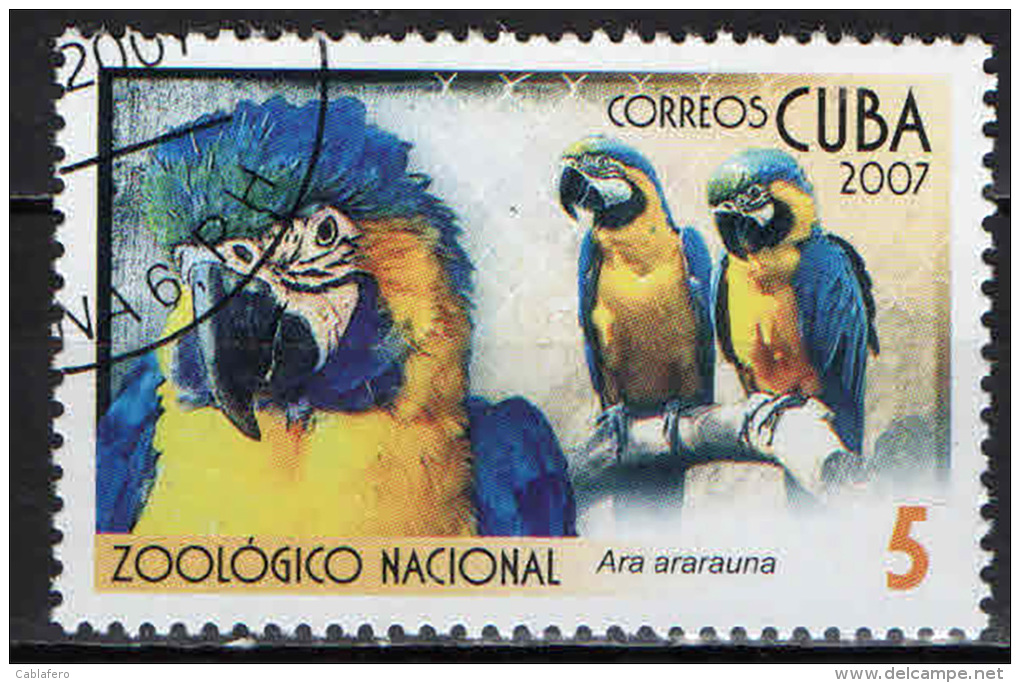 CUBA - 2007 - ARAARARAUNA - PAPPAGALLI - USATO - Oblitérés