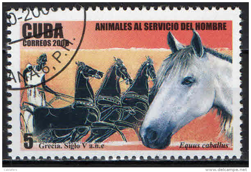 CUBA - 2006 - ANIMALI AL SERVIZIO DELL'UOMO: IL CAVALLO - USATO - Gebruikt