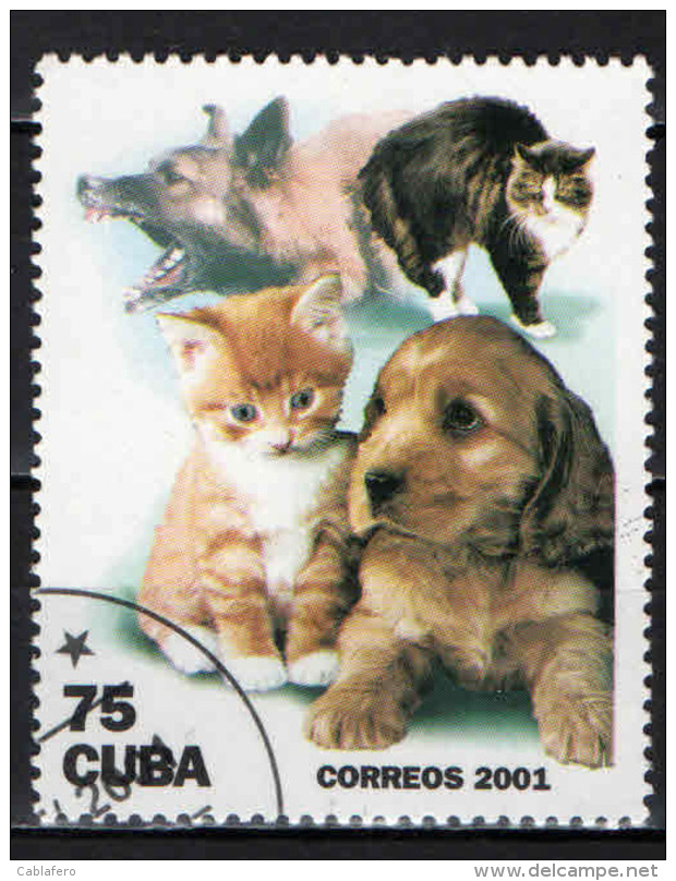 CUBA - 2001 - ANIMALI DOMESTICI: CANI E GATTI - USATO - Gebruikt