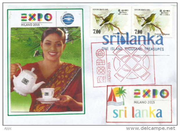 EXPO UNIVERSELLE MILANO 2015. SRI LANKA. Ceylan Tea, Lettre De L'EXPO MILAN 2015, Pavillon Sri Lanka (RARE) - 2015 – Milan (Italy)