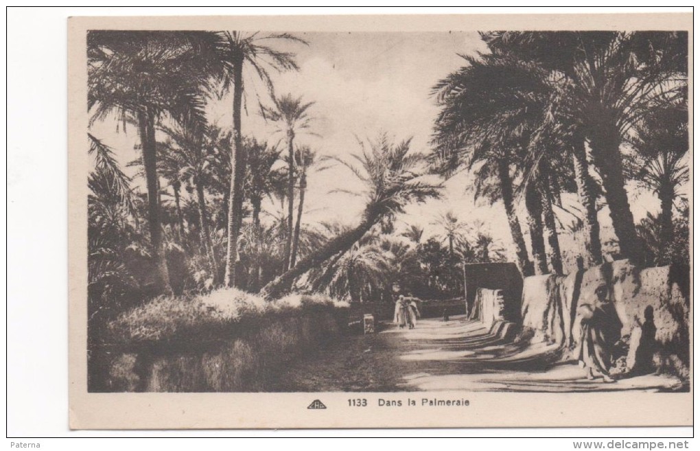 3026 Postal   Dans La Palmeraie , Palmeras Animada, Algeria - Árboles