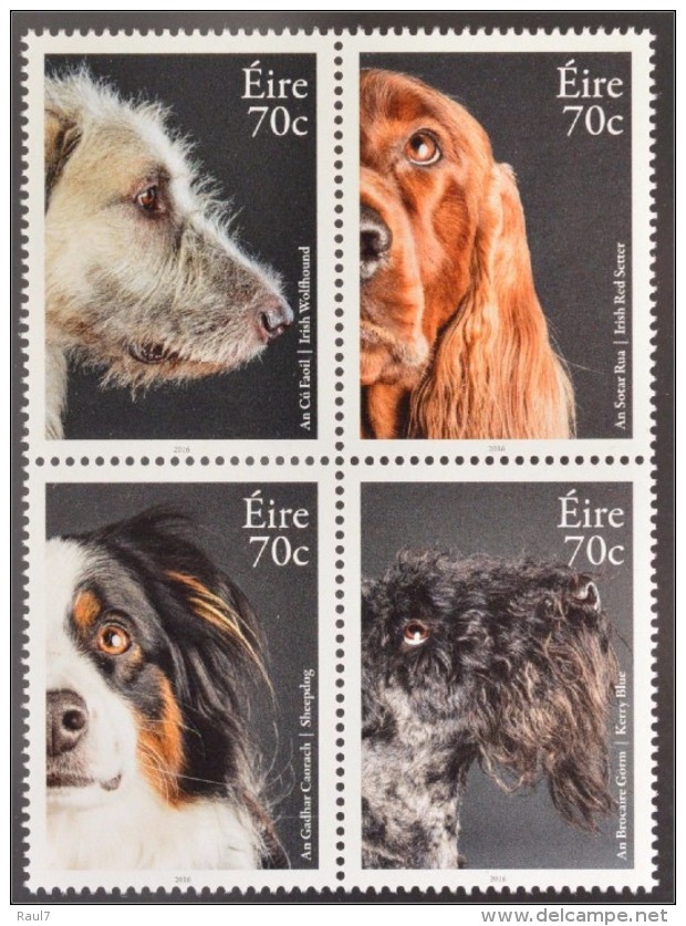 IRLANDE 2016 - Chiens Irlandais - 4 Val Neufs // Mnh - Neufs