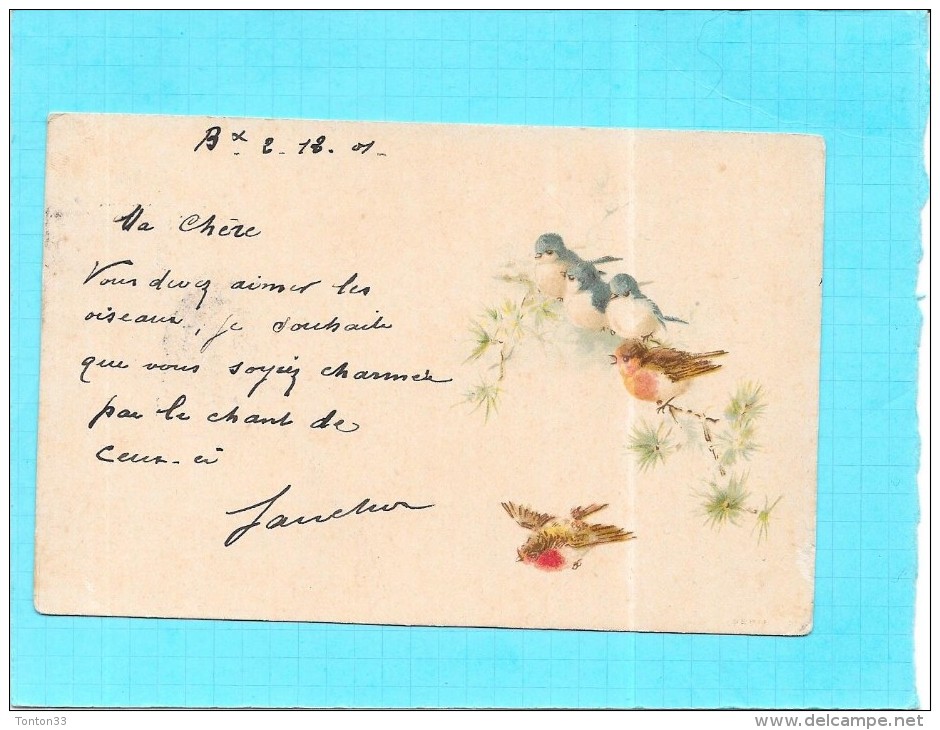 CPA DOS SIMPLE FANTAISIE -  Les Oiseaux - CPA Du 02/12/1901 - ENCH1202 - - Animaux Habillés