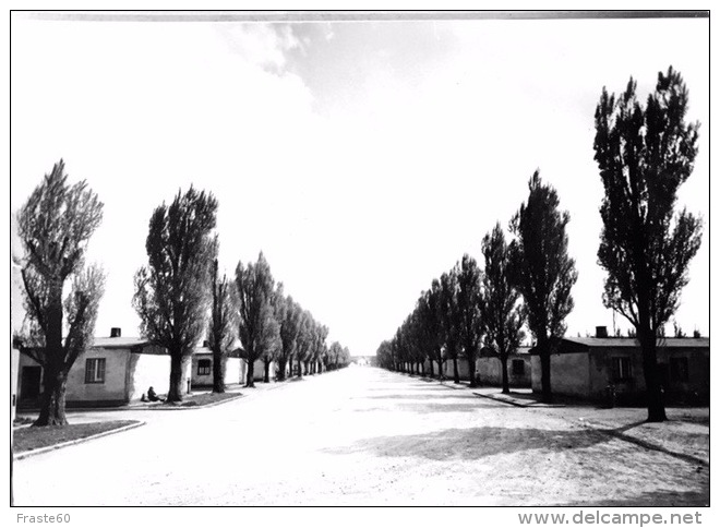 # Lagerstrasse ( Dachau) - Main Road Through The Camp - Dachau