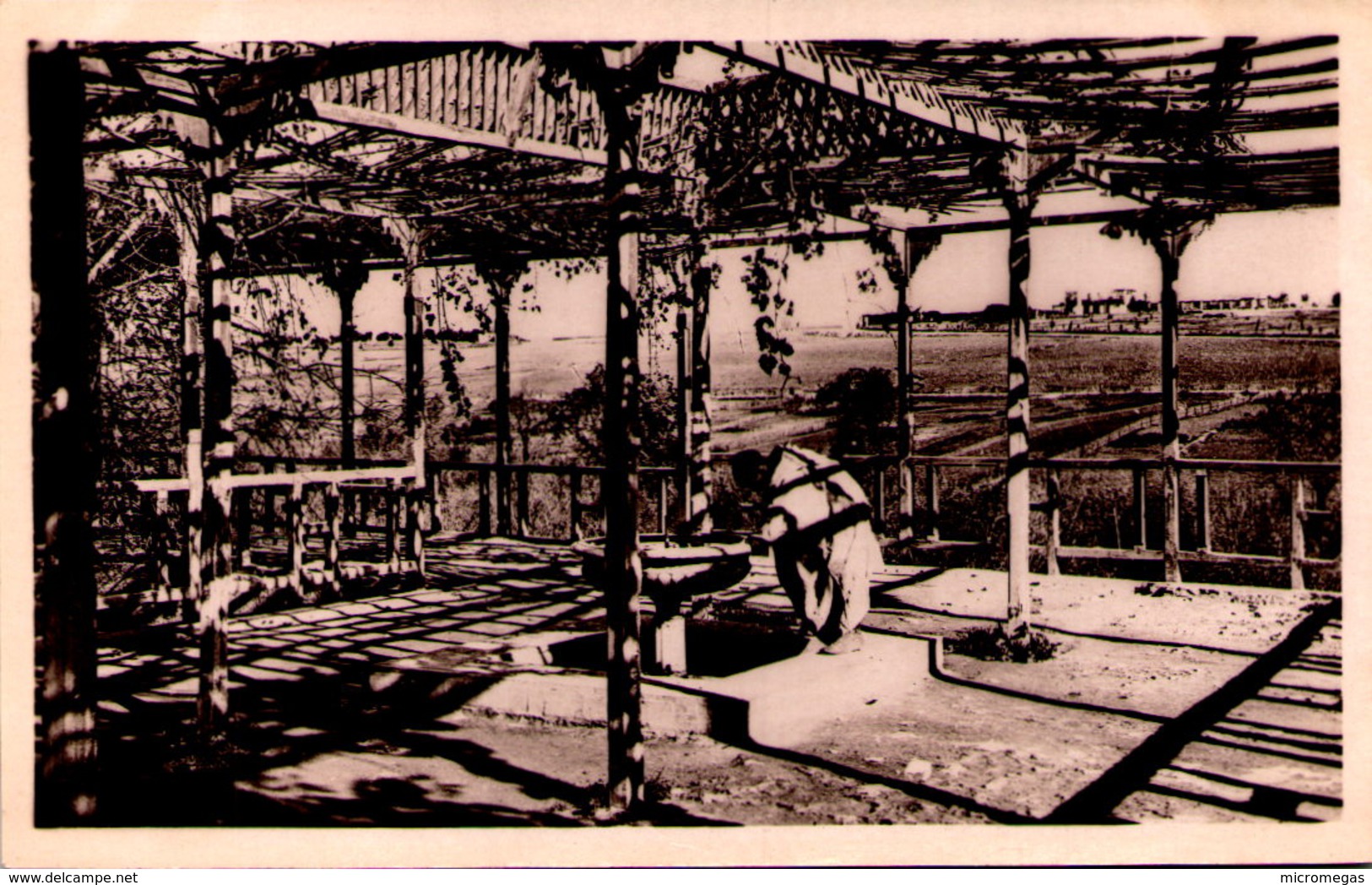 MEKNES - La Pergola Du Jardin Public - Meknès