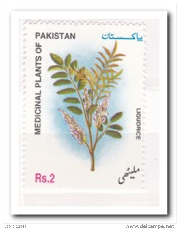 Pakistan 2000, Postfris MNH, Plants - Pakistan