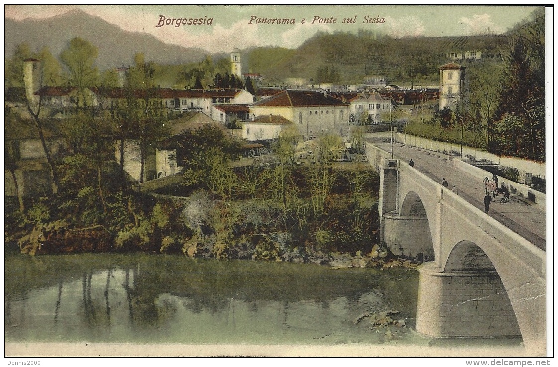 BORGOSESIA - Panorama é Ponte Sul Sesia - Ed. G. Gugliermina - Colorisé - Other & Unclassified