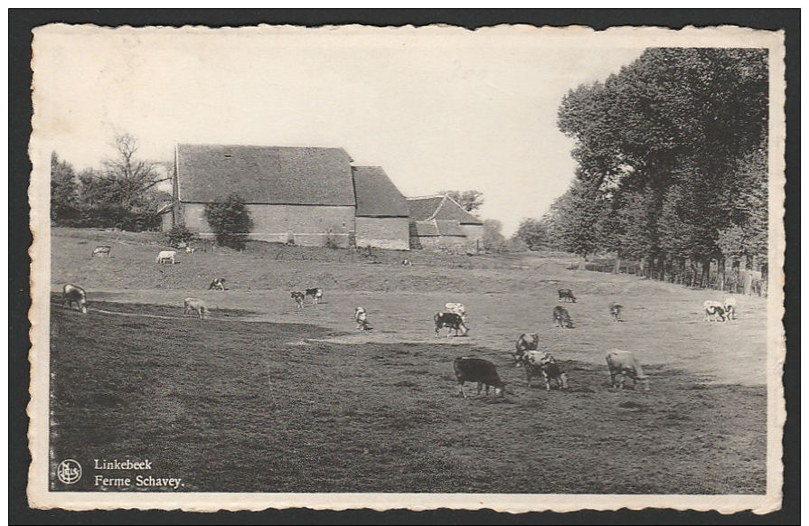 Linkebeek   Ferme Schavey Hoeve - Linkebeek