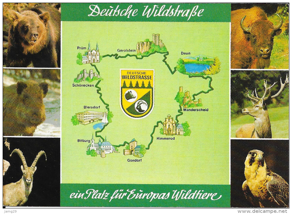Duitsland/Deutschland, Daun Und Umgebung, Eifel, Deutsche Wildstrasse, 7-bilder, Ca. 1980 - Daun