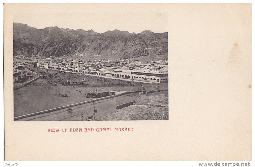 Yémen - Aden - Précurseur - View Of Aden And The Camel Market - Yémen