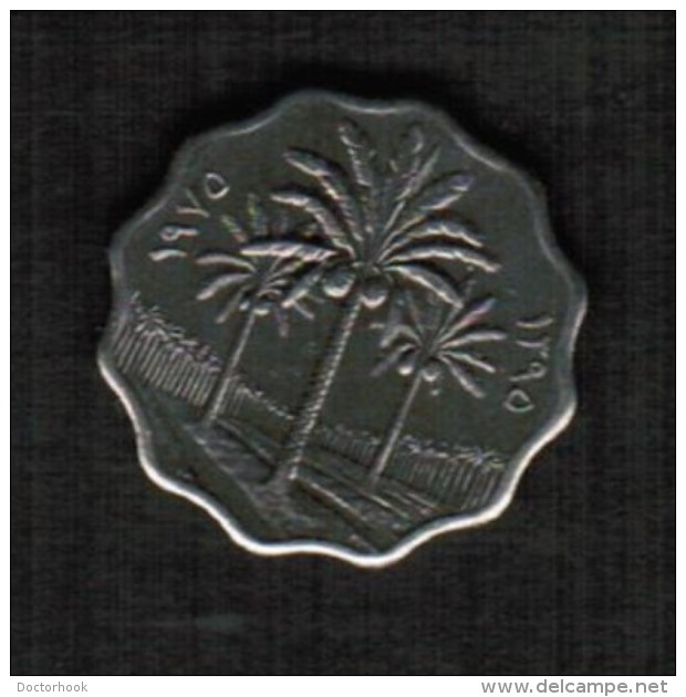 IRAQ   5 FILS 1975 (KM # 141) - Iraq