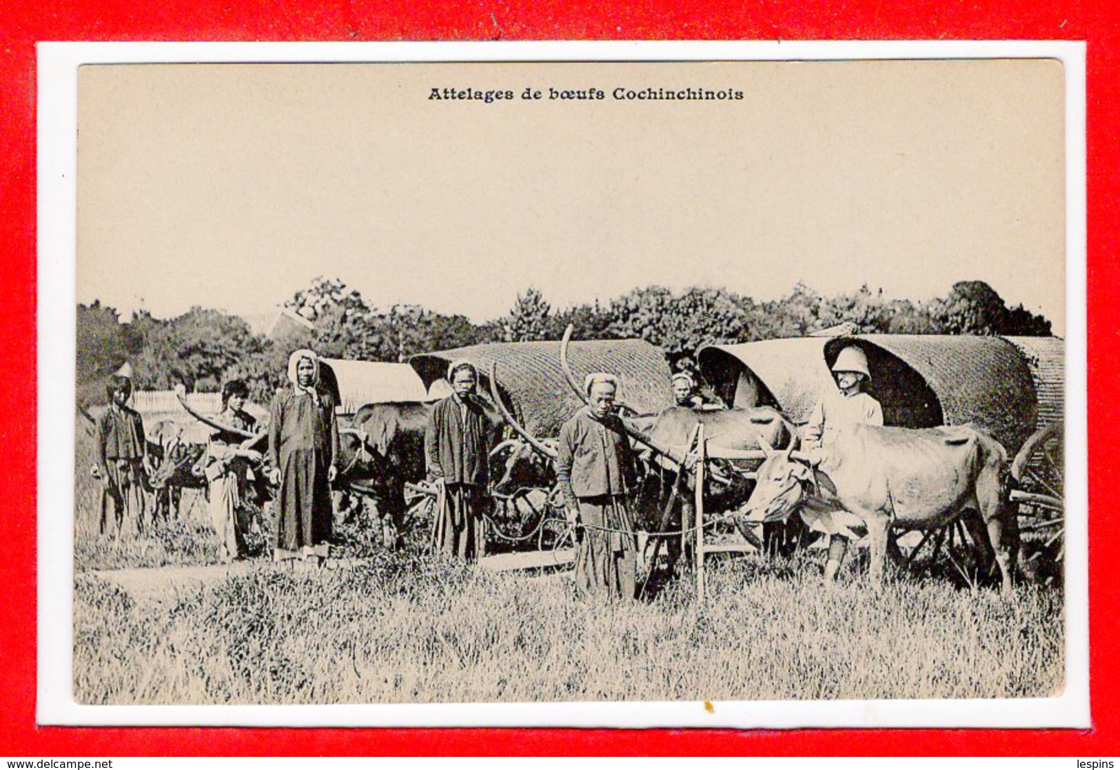 VIËT-NAM --  COCHINCHINE --  Attelages De Boeufs - Viêt-Nam