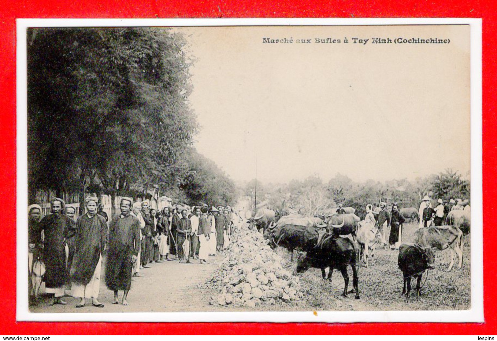 VIËT-NAM --  COCHINCHINE -- Marché Aux Bufles à Tay Ninh - Vietnam