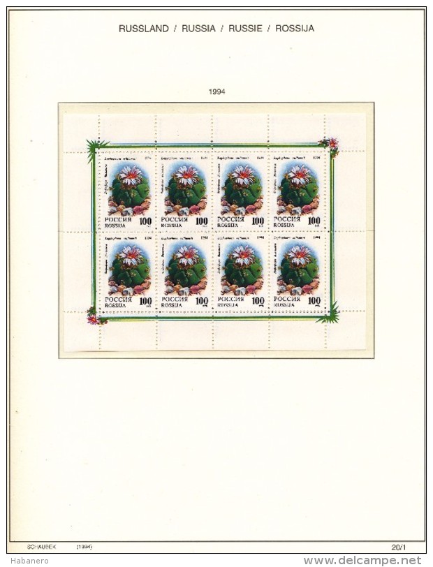 RUSSIA - 1994 COMPLETE COLLECTION OF STAMPS, BLOCKS & SHEETS ON 17 SCHAUBEK ALBUMSHEETS - MNH ** - Collections