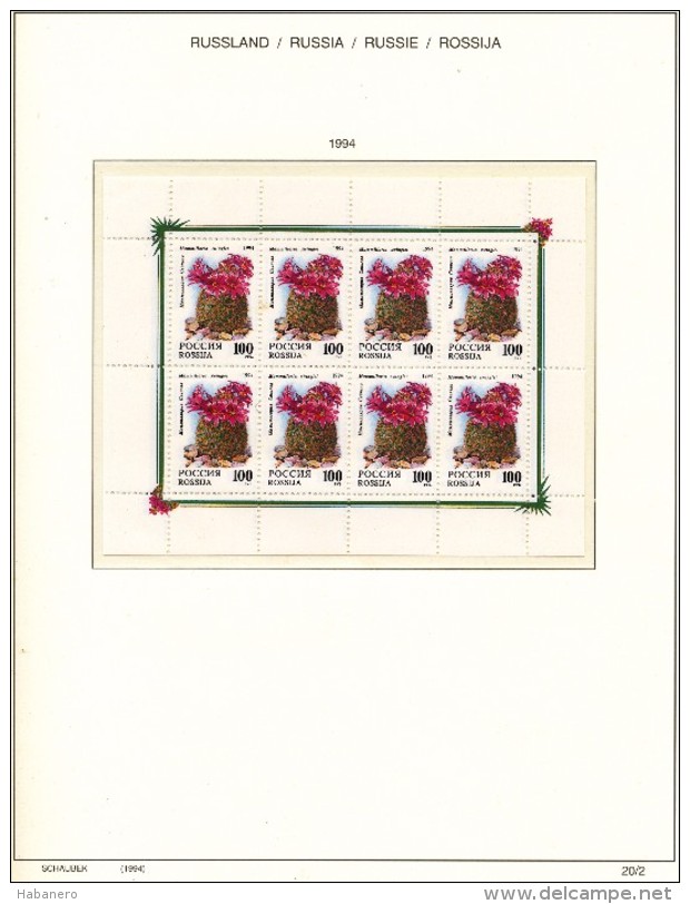 RUSSIA - 1994 COMPLETE COLLECTION OF STAMPS, BLOCKS & SHEETS ON 17 SCHAUBEK ALBUMSHEETS - MNH ** - Collezioni
