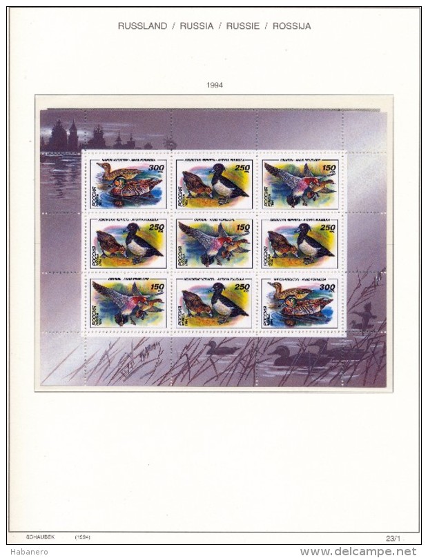 RUSSIA - 1994 COMPLETE COLLECTION OF STAMPS, BLOCKS & SHEETS ON 17 SCHAUBEK ALBUMSHEETS - MNH **