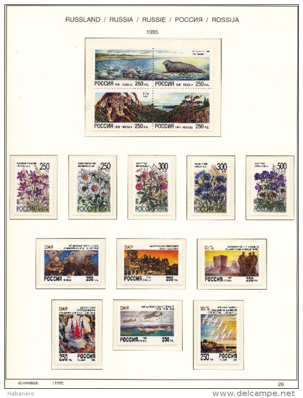 RUSSIA - 1995 COMPLETE COLLECTION OF STAMPS, BLOCKS & SHEETS ON 19 SCHAUBEK ALBUMSHEETS - MNH ** - Collections