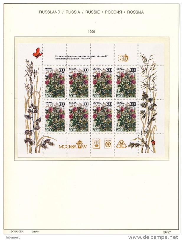 RUSSIA - 1995 COMPLETE COLLECTION OF STAMPS, BLOCKS & SHEETS ON 19 SCHAUBEK ALBUMSHEETS - MNH **