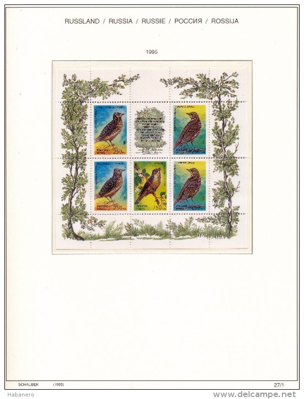 RUSSIA - 1995 COMPLETE COLLECTION OF STAMPS, BLOCKS & SHEETS ON 19 SCHAUBEK ALBUMSHEETS - MNH **