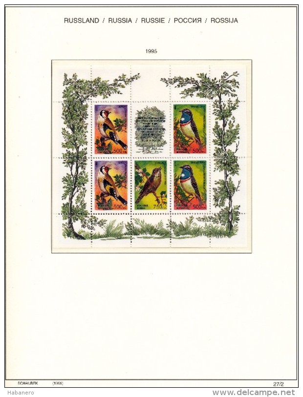 RUSSIA - 1995 COMPLETE COLLECTION OF STAMPS, BLOCKS & SHEETS ON 19 SCHAUBEK ALBUMSHEETS - MNH **