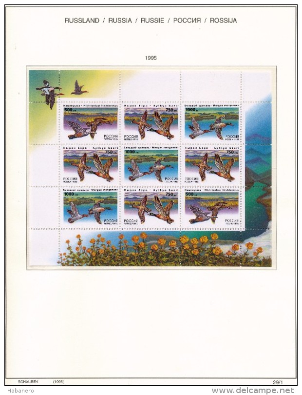 RUSSIA - 1995 COMPLETE COLLECTION OF STAMPS, BLOCKS & SHEETS ON 19 SCHAUBEK ALBUMSHEETS - MNH **