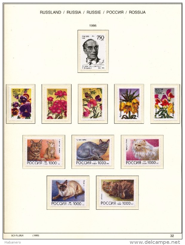 RUSSIA - 1996  COLLECTION OF STAMPS, BLOCKS & SHEETS ON 16 SCHAUBEK ALBUMSHEETS - MNH ** - Collections