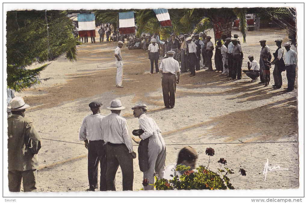 BANDOL. - Concours De Pétanque. Cpsm - Bowls