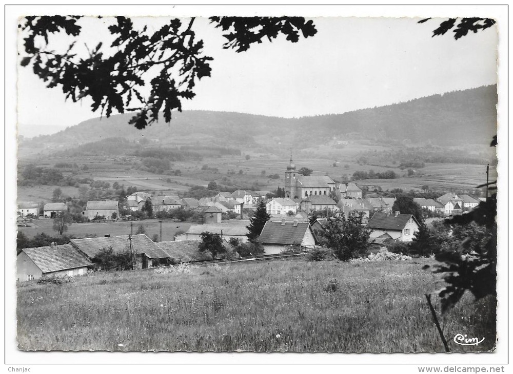 Cpsm: 88 COLROY LA GRANDE (ar. Saint Dié) Vue Panoramique  CIM  N° 4 - Colroy La Grande