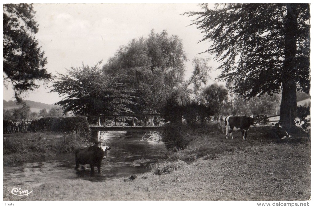 BELLECOMBRE LES BORDS DE LA VARENNE  (VACHES) - Bellencombre