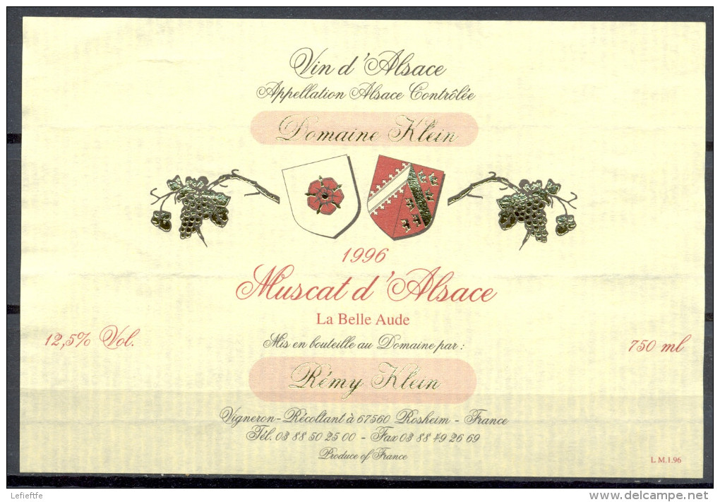 001 - Muscat D'Alsace - 1996 La Belle Aude - Rémy Klein Vigneron à Rosheim - White Wines