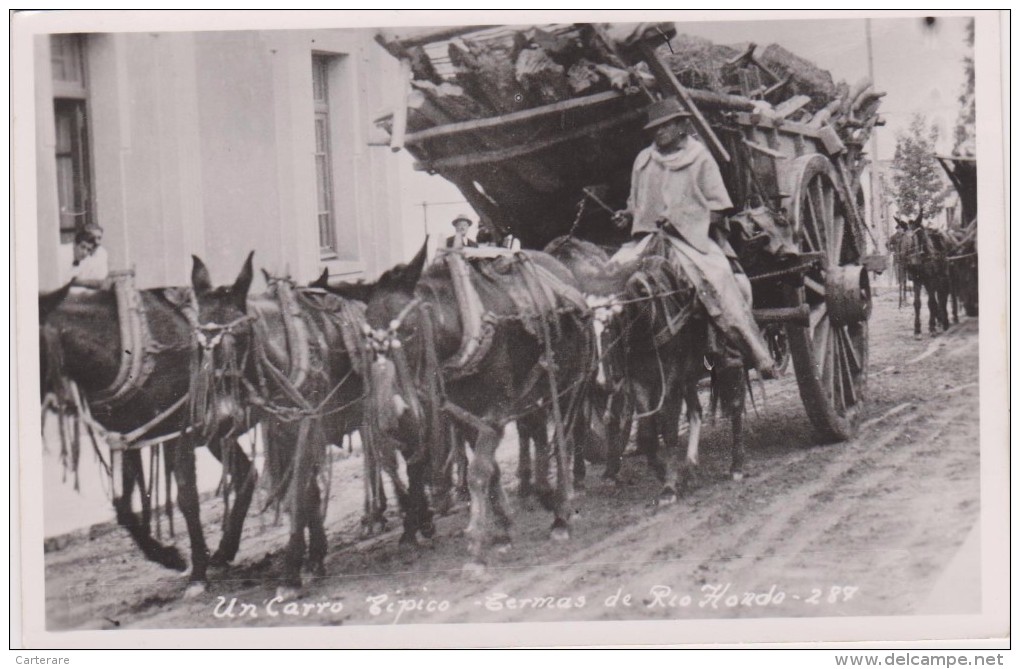 Argentine,argentina - Carro,attelage,anes,mulet S Transport Bois  Tipico -termas De Rio Hondo,carte Photo,amerique Du Su - Argentine