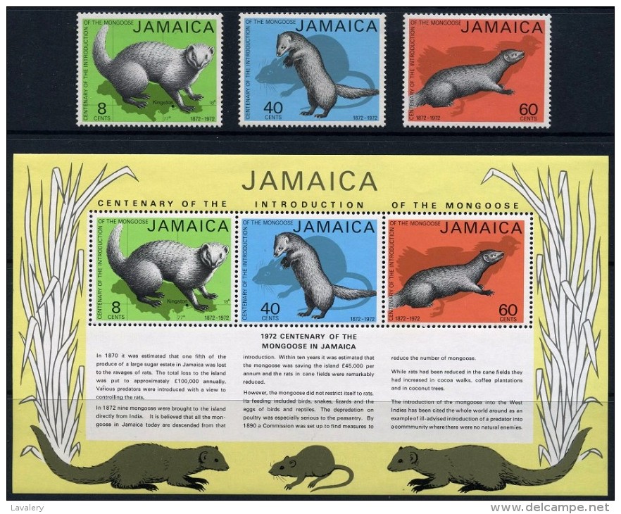 JAMAICA 1973 Centenary Of The Introduction Of The Mongoose Wildlife Animals Fauna MNH - Autres & Non Classés