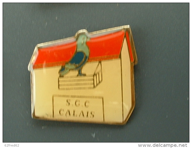 PIN'S COLOMBOPHILIE - PIGEON - S.C.C CALAIS - Animaux