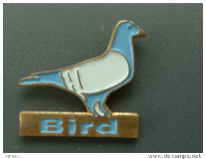 PIN'S COLOMBOPHILIE - PIGEON - BIRD - Animaux