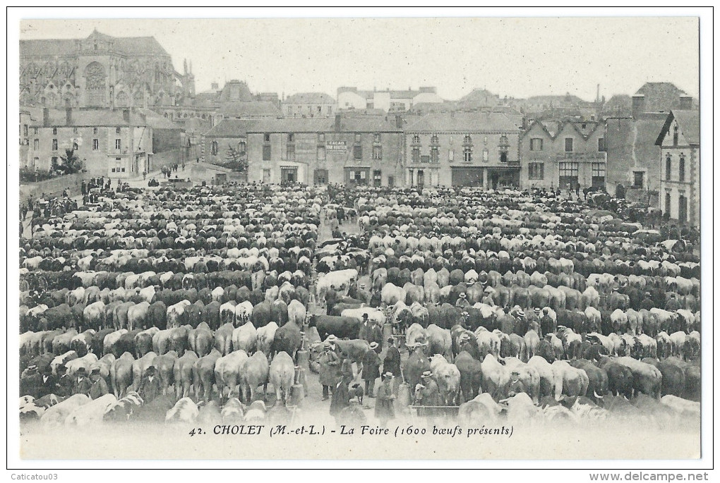 CHOLET (49) Le Foirail - Le Marché Aux Boeufs (1600 Boeufs Présents) - Très Beau Plan - Belle Animation - Cholet