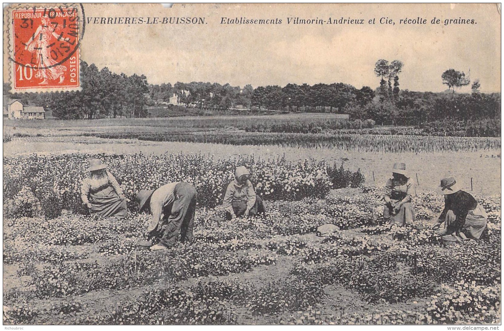 91 VERRIERES LE BUISSON ETABLISSEMENTS VILMORIN ANDRIEUX ET CIE RECOLTE DE GRAINES - Verrieres Le Buisson