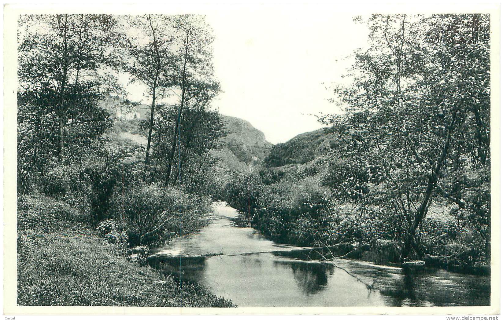 BARVAUX S/OURTHE - Sortie De L'Ourthe à La Grotte - Autres & Non Classés