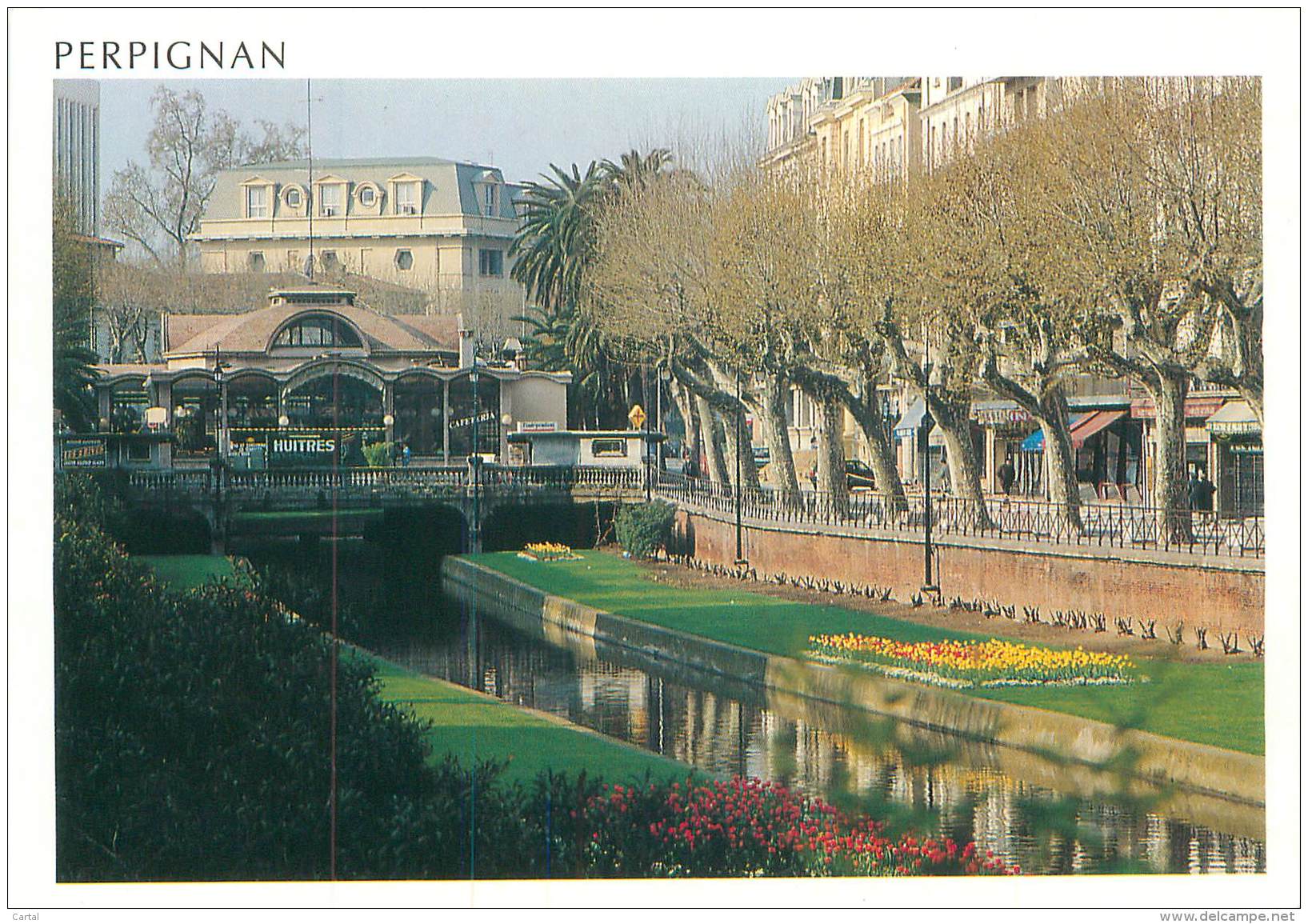 CPM - 66 - PERPIGNAN - Le Palmarium Et Les Quais - Perpignan