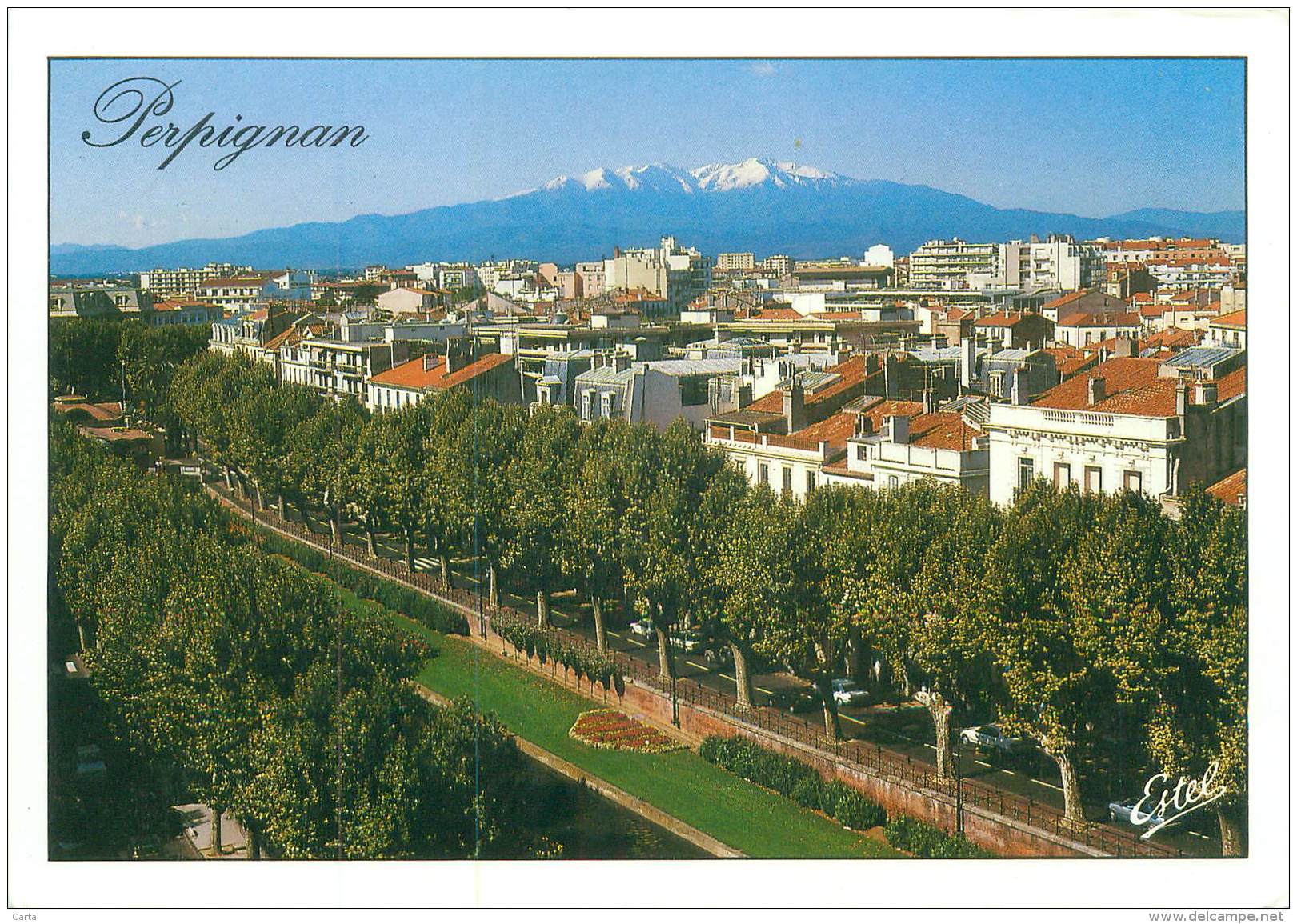 CPM - 66 - PERPIGNAN - Vue Générale, Au Fond, Le Canigou - Perpignan