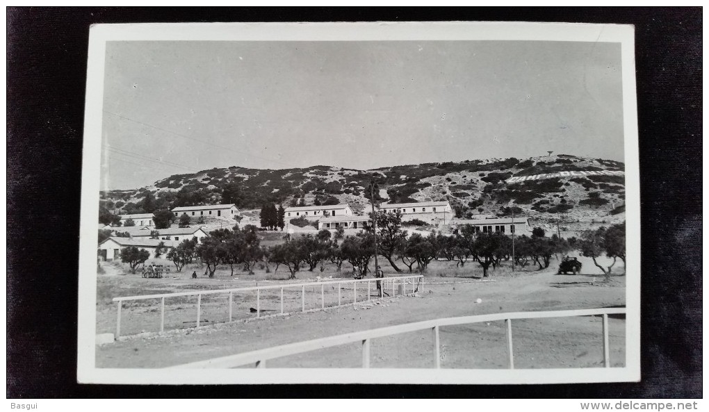 CPSM D30 Villeneuve Les Avignon, Le Camping Des Oliviers - Villeneuve-lès-Avignon