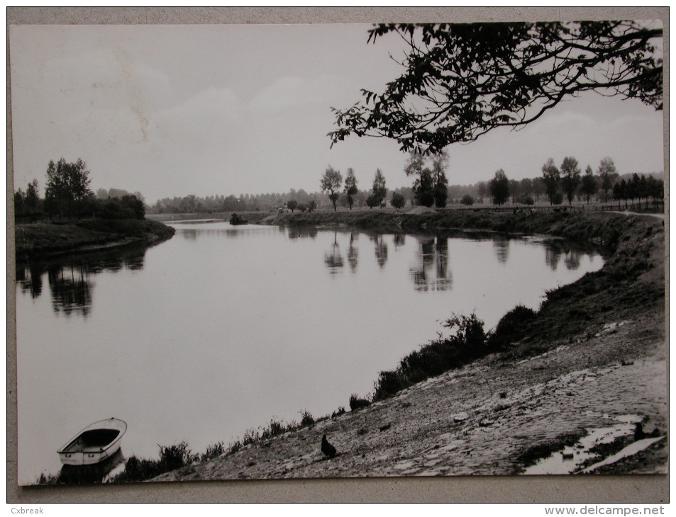 Maasmechelen, De Maas - Maasmechelen