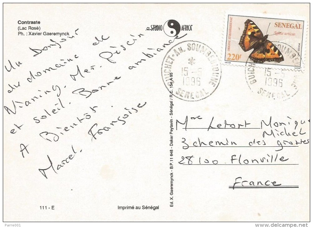 Senegal 1996 Guichet An Soumbedioune Butterfly Small Tortoiseshell (Aglais Urticae) Cover - Senegal (1960-...)