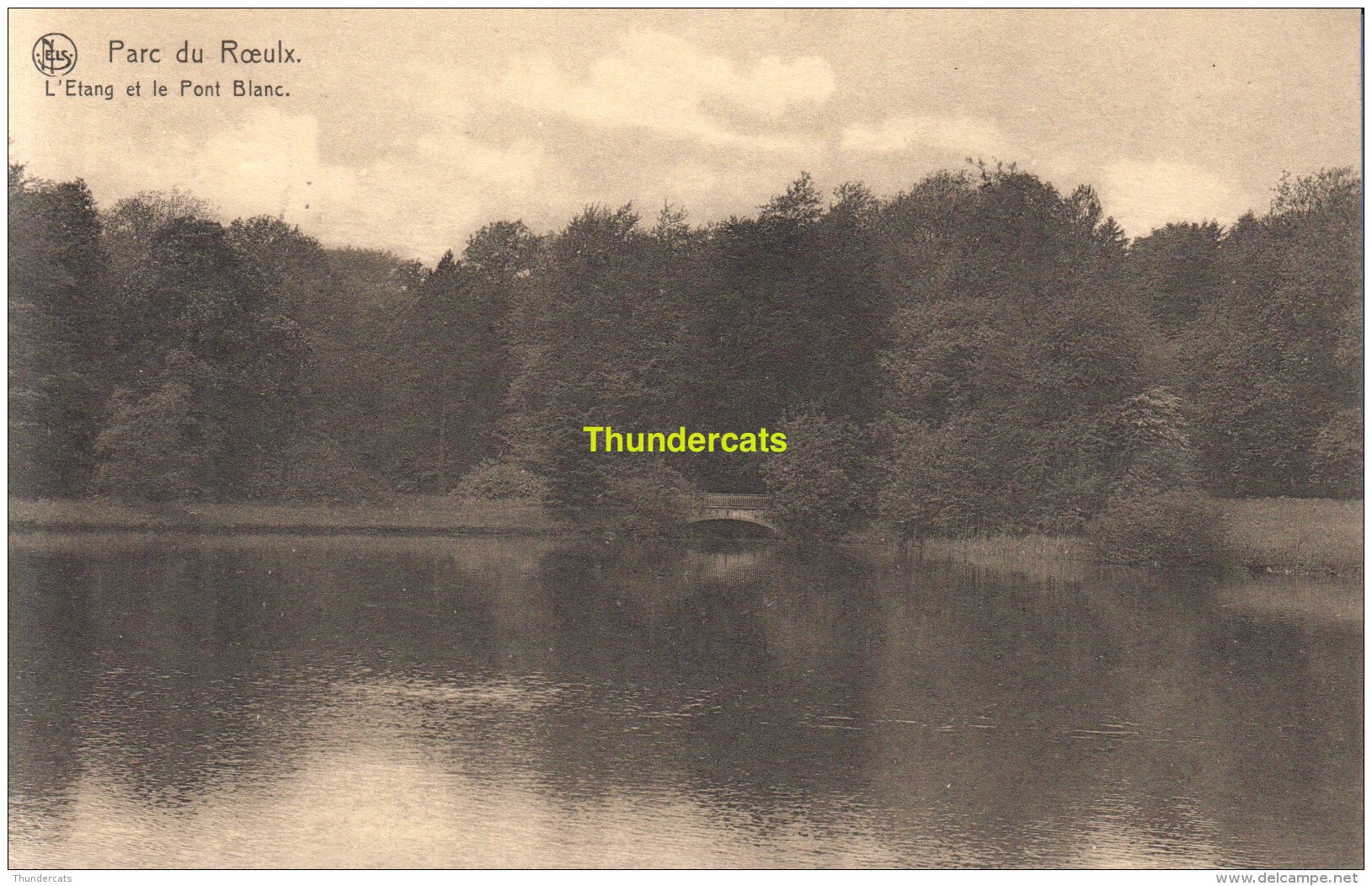 CPA PARC DU ROEULX L'ETANG ET LE PONT BLANC - Le Roeulx