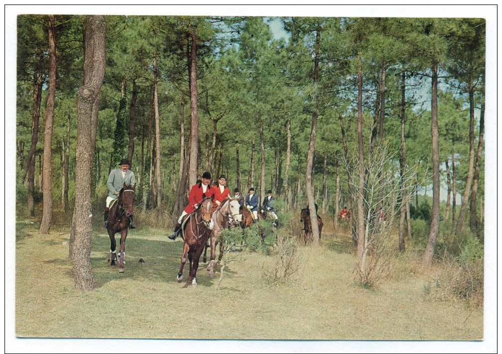 Anni '70, Ravenna, Pineta Di San Vitale, Cross-Country, Cavalli, Animata, FG NV - Ravenna