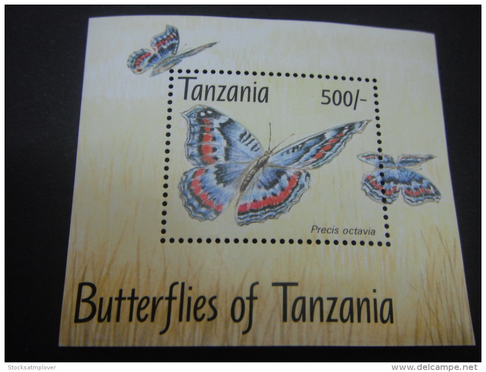 Tanzania-Butterflies - Butterflies