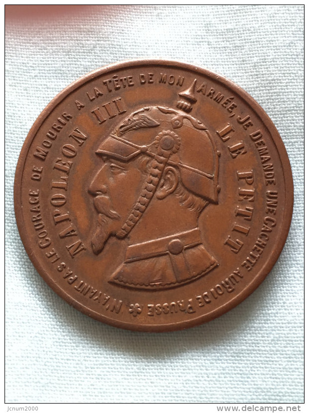 Medaille Satirique Grand Module - Variétés Et Curiosités