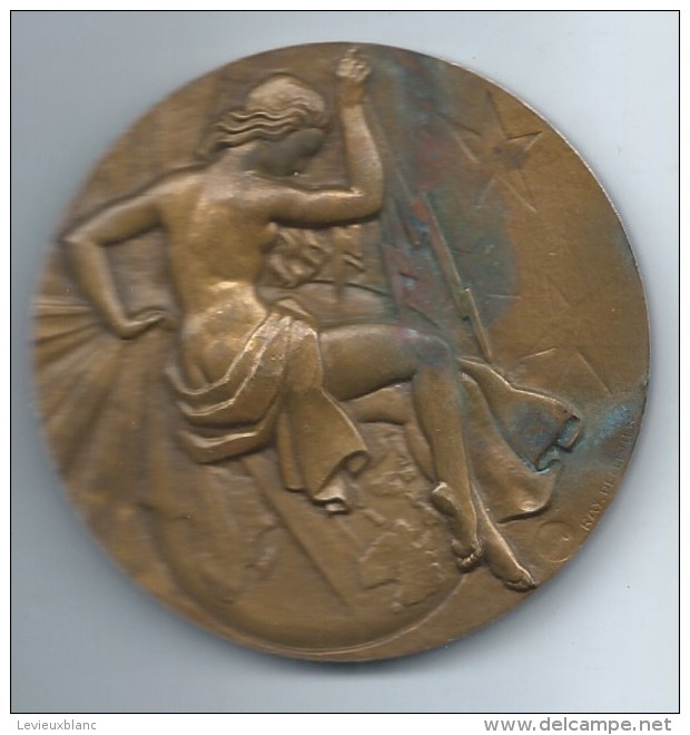 Médaille De Table /Syndicat Général De La Construction Electrique /Etienne MENARD/Bronze/ 1962  MED63 - Firma's