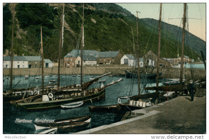 GB MINEHEAD / Harbour / GLOSSY COLORED CARD - Minehead